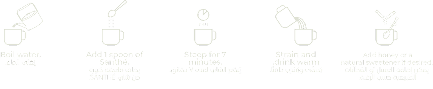 Preparation Steps